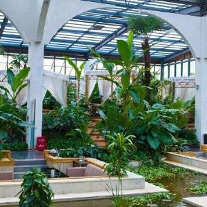 生態餐廳