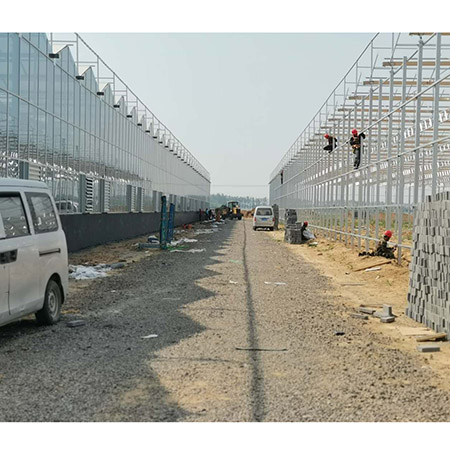 濰坊壽光紋絡(luò)溫室 (1).jpg