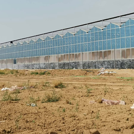 濰坊壽光紋絡(luò)溫室 (3).jpg