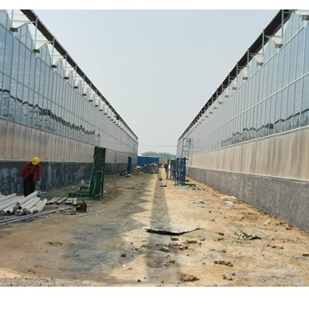 濰坊壽光紋絡(luò)溫室 (4).jpg